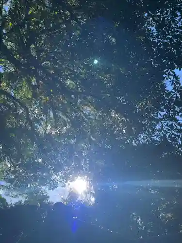 氷川女體神社(埼玉県)