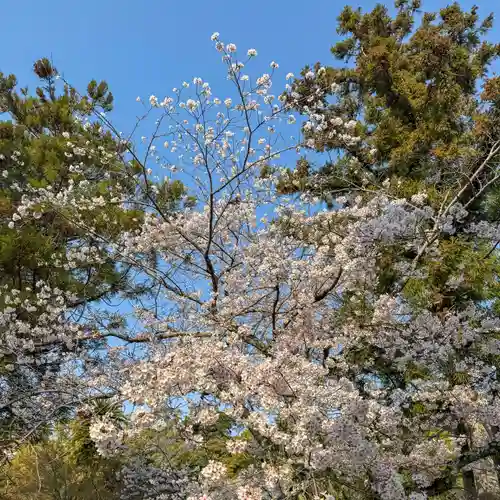伊勢の国 四天王寺(三重県)