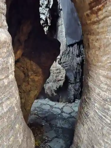 熊野那智大社(和歌山県)