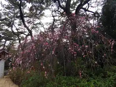 稲毛浅間神社(千葉県)