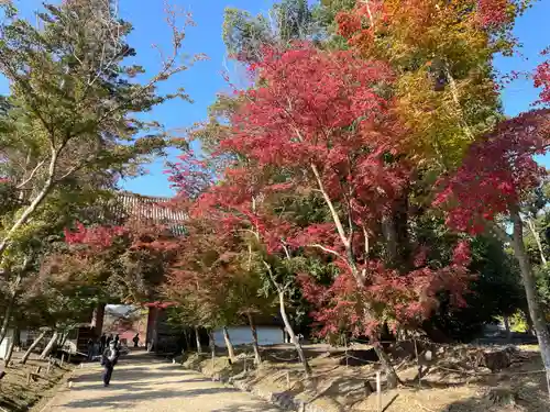 醍醐寺(京都府)