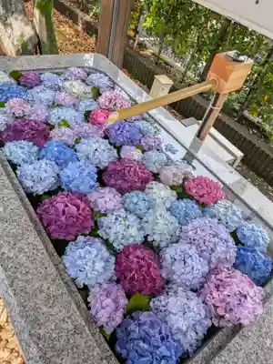 桜神宮(東京都)