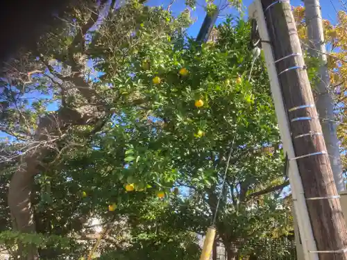 大船観音寺(神奈川県)