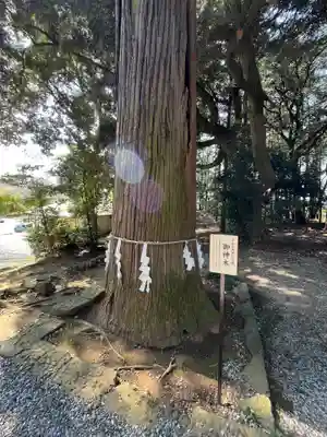 間々田八幡宮(栃木県)