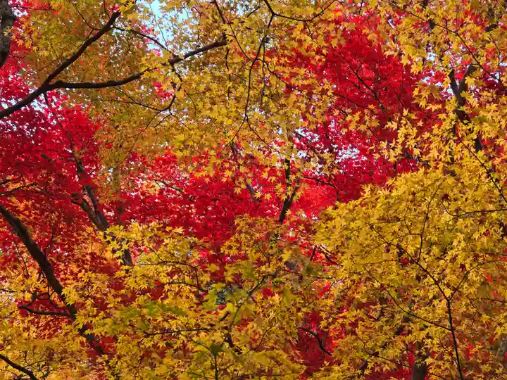 大威徳寺(大阪府)