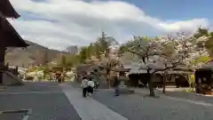 善光寺の建物その他