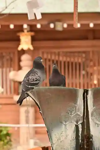 櫛田神社(福岡県)