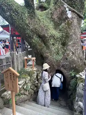 熊野那智大社(和歌山県)