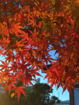 正樂寺(神奈川県)