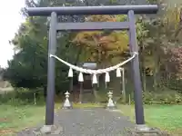 金澤神社の鳥居