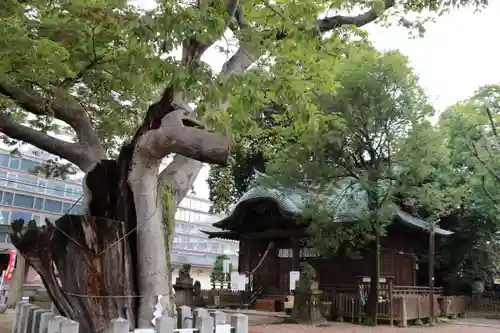 阿邪訶根神社の景色