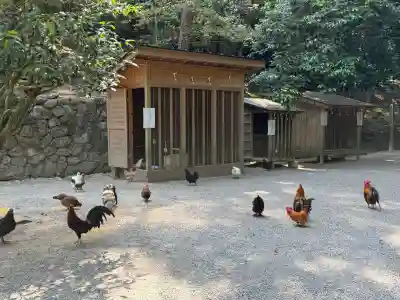 石上神宮(奈良県)