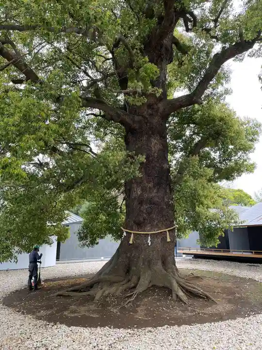 上野東照宮(東京都)
