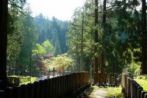 高野山金剛峯寺奥の院の自然