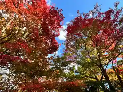 柳谷観音　楊谷寺(京都府)