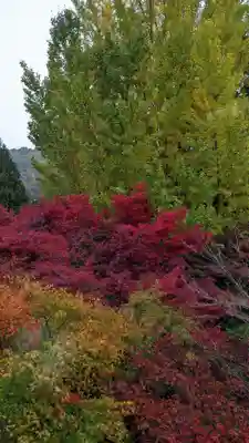 三鈷寺(京都府)