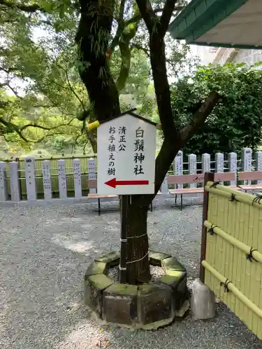加藤神社(熊本県)