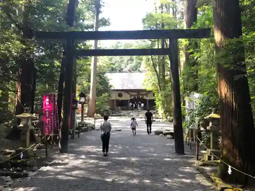 椿大神社の鳥居