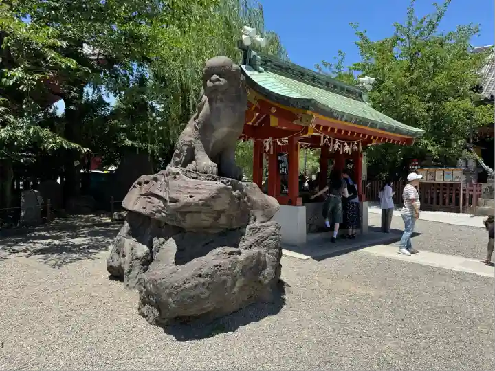 浅草神社の狛犬