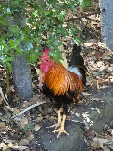 熱田神宮(愛知県)