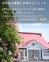 宝光寺(北海道)