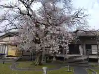 妙経寺(福井県)