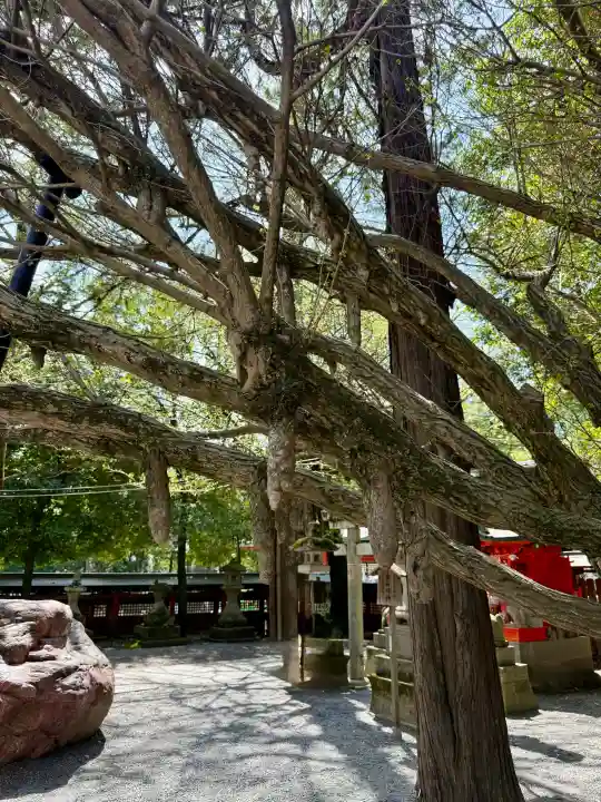 秩父神社の{uncategorized: "未分類", other: "その他", undefined: "問題あり", building: "その他建物", grave: "お墓", sacred_gate: "鳥居", guardian: "狛犬", statue: "像", buddha: "仏像", history: "歴史", nature: "自然", garden: "庭園", animal: "動物", pagoda: "塔", temizu: "手水舎", mountain_gate: "山門・神門", sanctuary: "本殿・本堂", subordinate: "末社・摂社", art: "芸術", scenery: "景色", jizo: "地蔵", ema: "絵馬", goshuin: "御朱印", omikuji: "おみくじ", items: "授与品その他", amulet: "お守り", goshuincho: "御朱印帳", eats: "食事", festival: "お祭り", votive_dance: "神楽", shichigosan: "七五三参", wedding: "結婚式", experience: "体験その他", initially: "初詣", around: "周辺", anti_infection: "感染症対策"}