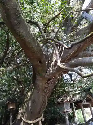 八大龍王水神(宮崎県)