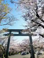 飯綱神社(愛宕神社奥社)(茨城県)