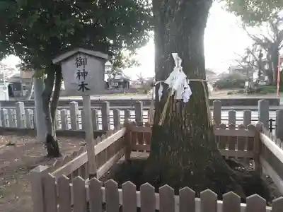 貴船神社の自然