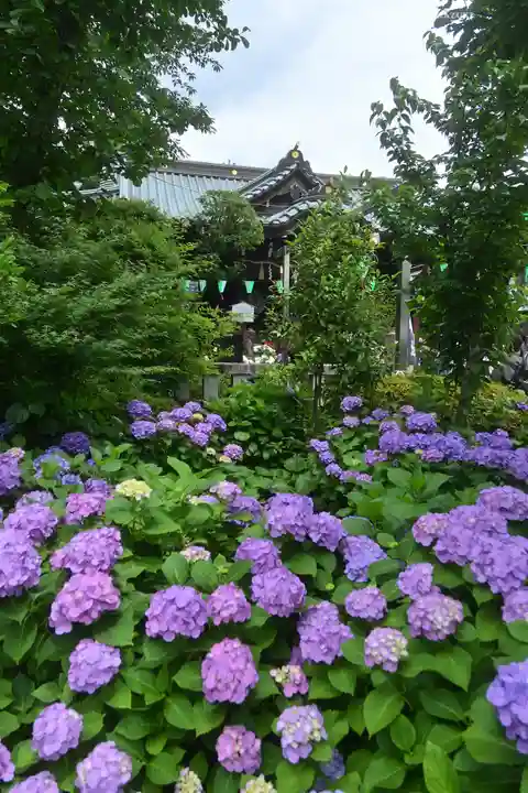 白山神社(東京都)