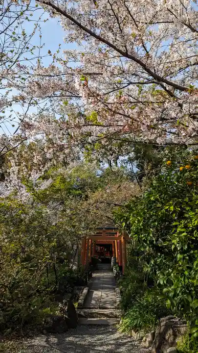 平野神社(京都府)