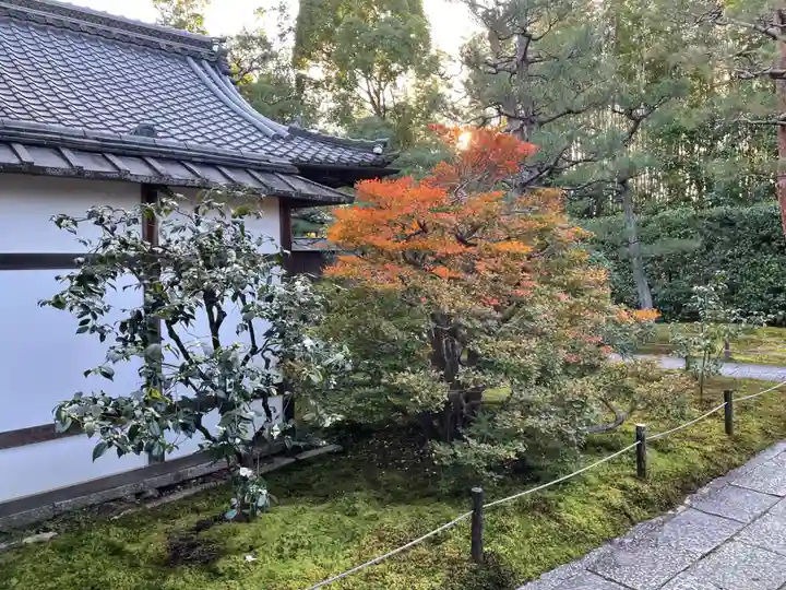 大雄院(京都府)