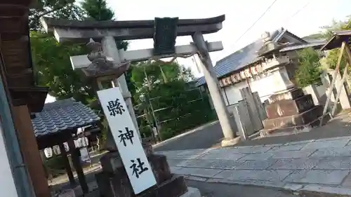 縣神社の鳥居