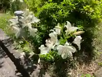 伝福寺(神奈川県)