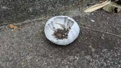 稲荷神社の動物