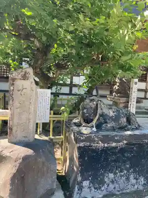 八幡神社の狛犬