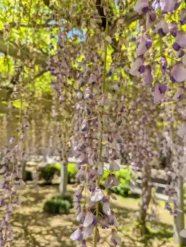 三大神社(滋賀県)