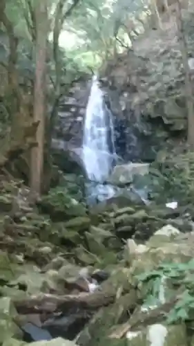杉神社(鳥取県)