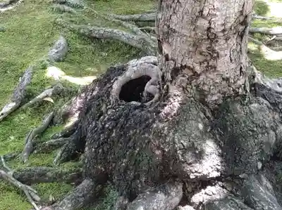 長壽寺（長寿寺）(神奈川県)