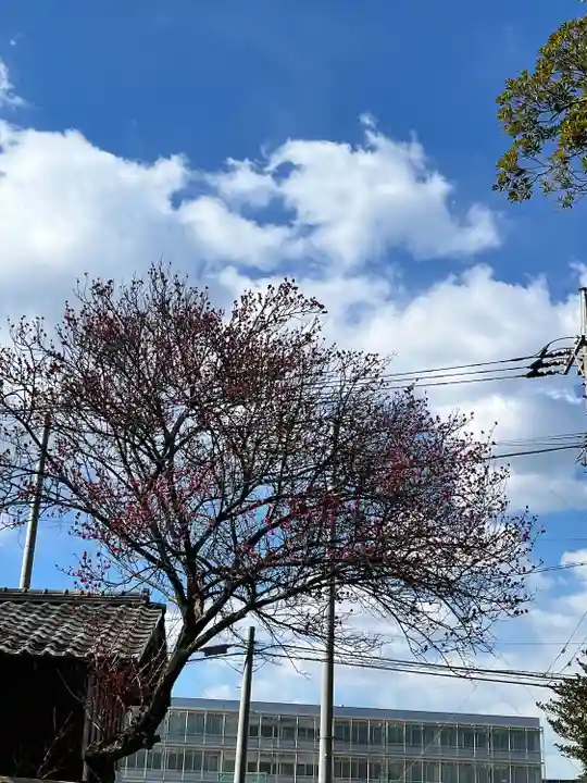 大宮・大原神社(千葉県)