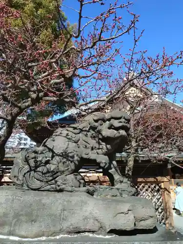 湯島天満宮(東京都)