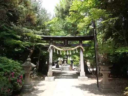 春日部八幡神社の鳥居