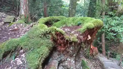 室生龍穴神社(奈良県)