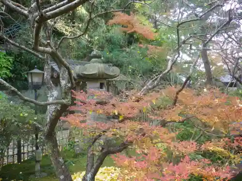 安國論寺（安国論寺）の自然