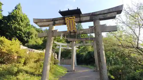 出世稲荷神社の鳥居