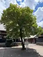 西明寺(愛知県)