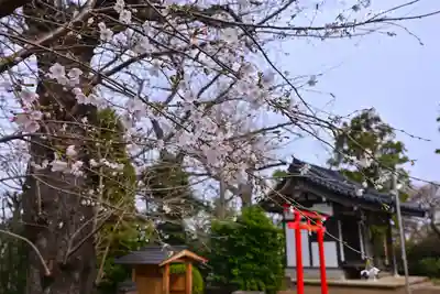 栗谷須賀神社(神奈川県)