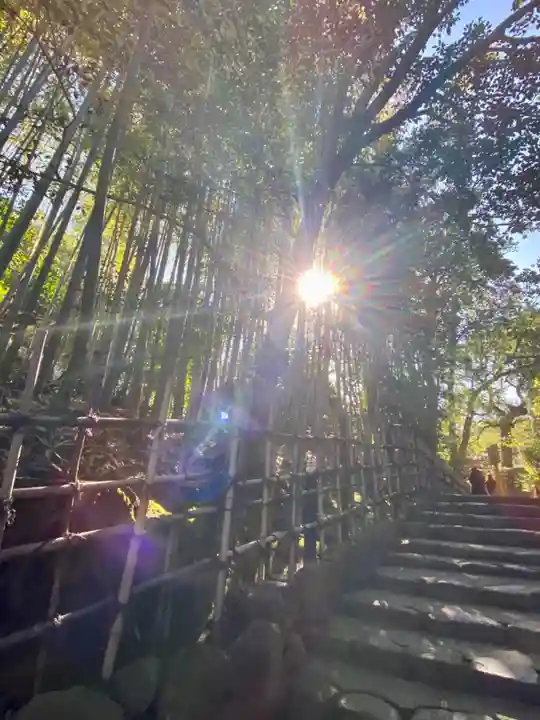 詩仙堂(丈山寺)の周辺