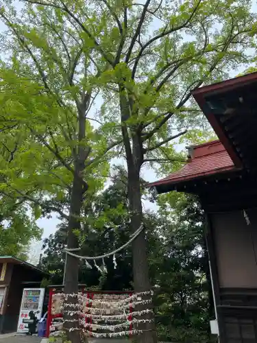 多摩川浅間神社の庭園